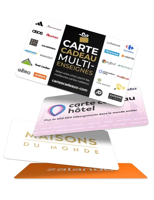 Aiden decision support banner logo