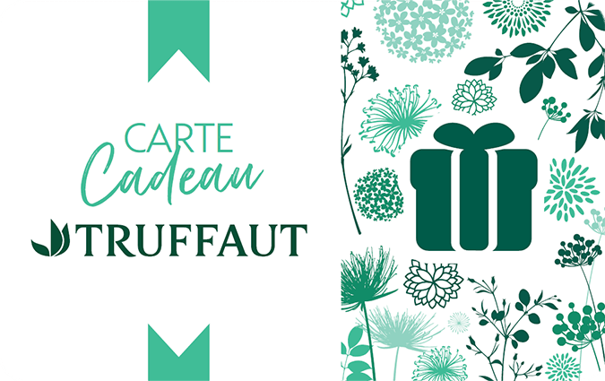 Carte cadeau Truffaut